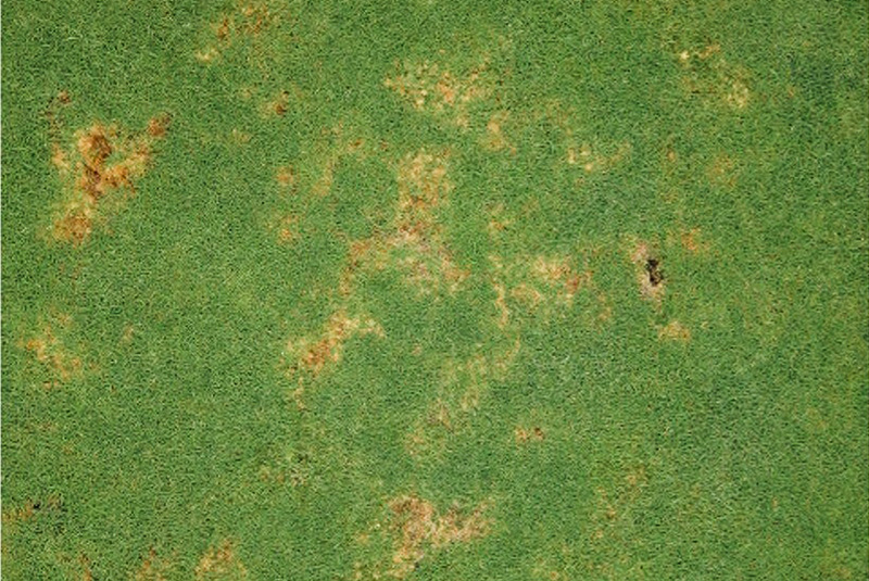 Aerial view of Ghost Creek golf course