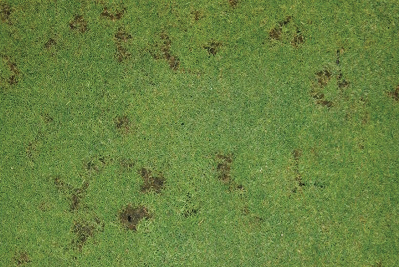 Aerial view of Ghost Creek golf course