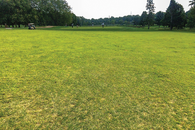 Aerial view of Ghost Creek golf course
