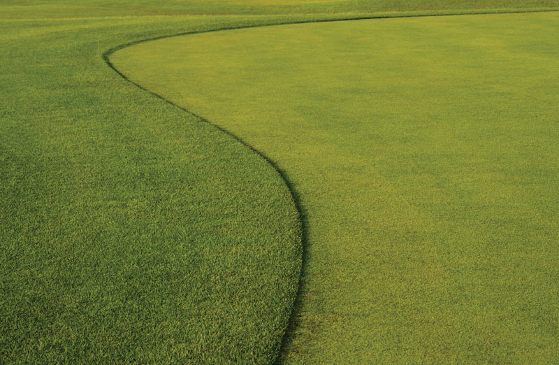 Evaluate turf products