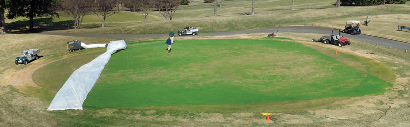 Golf green turf greenhouse