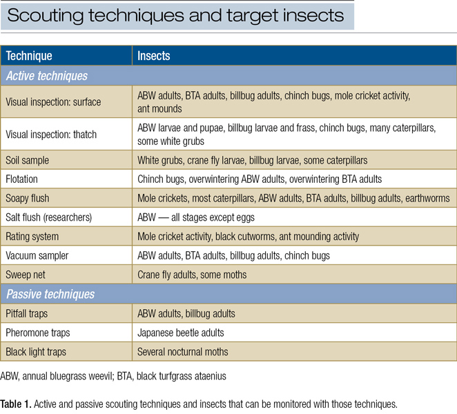 Turf insect scouting techniques