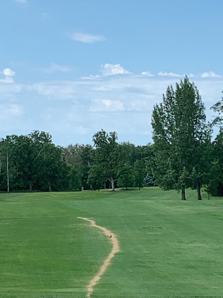 Golf course fairway damage