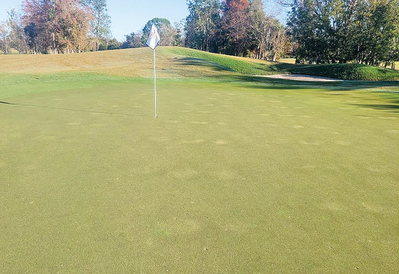 A patch of brown turf on a practice putting green