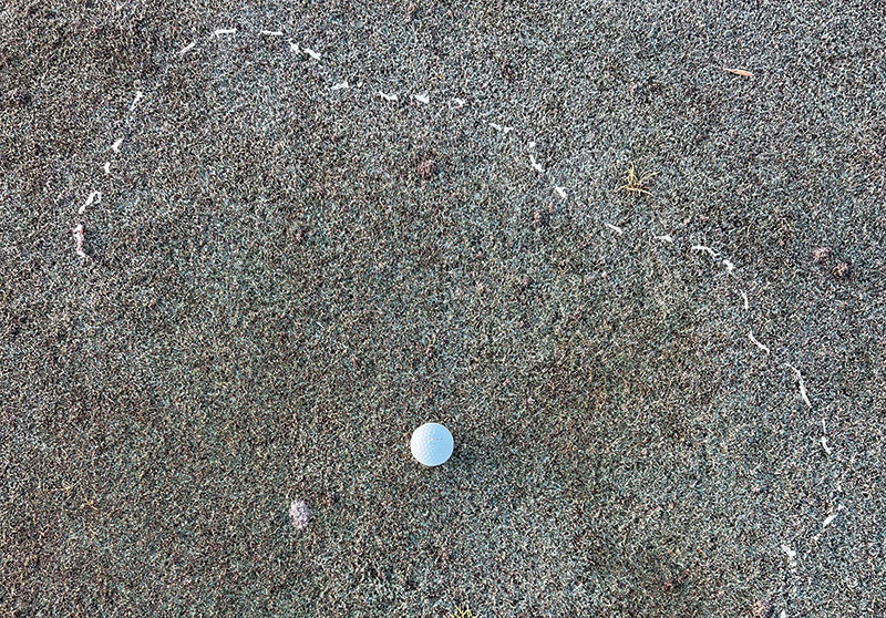 Image of a small pile of pale material next to a putting green collar.
