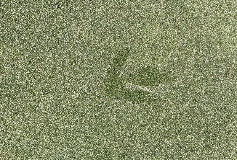 A patch of brown turf on a practice putting green