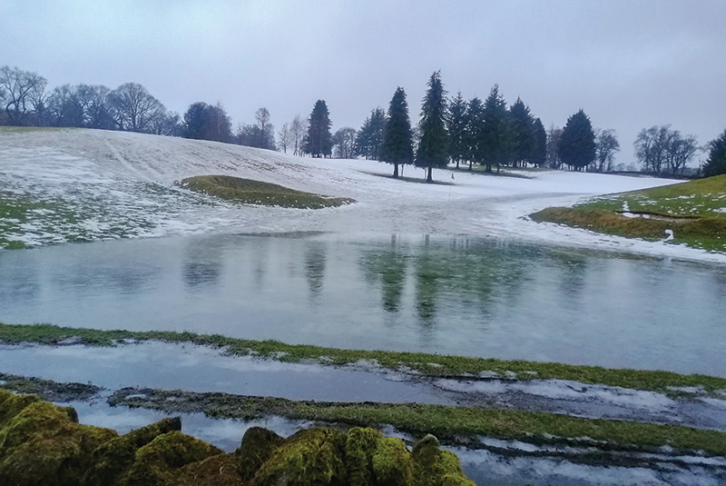 Small patch of yellow discolored turf within a dark green putting green