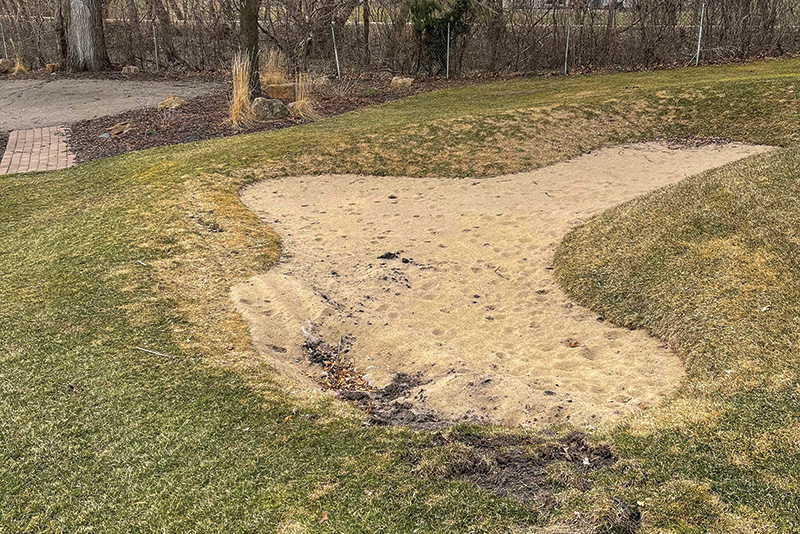 Small patch of yellow discolored turf within a dark green putting green