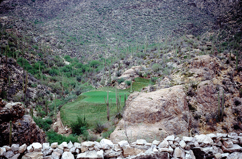 view of a golf course